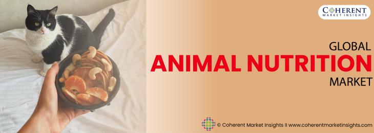 Major Players - Animal Nutrition Industry