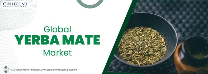 Major Players - Yerba Mate Industry	