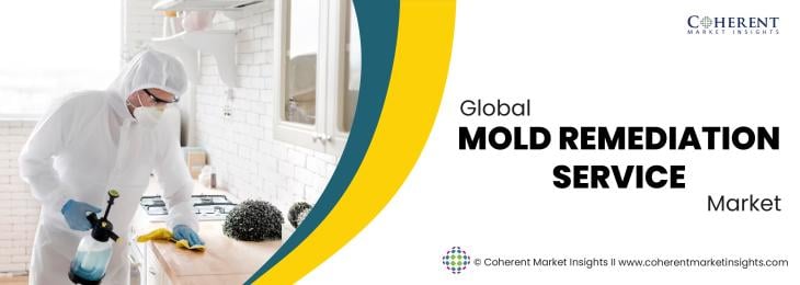 Major Players - Mold Remediation Service Industry