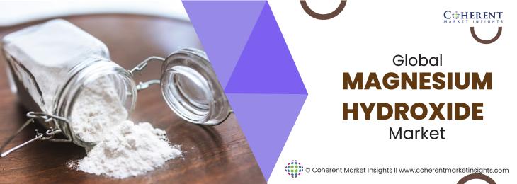 Key Companies - Magnesium Hydroxide Industry