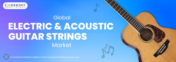  Top Companies - Electric and Acoustic Guitar Strings Industry