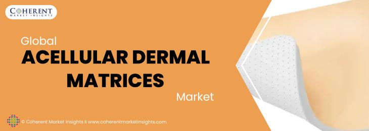 Major Players -  Acellular Dermal Matrices Industry