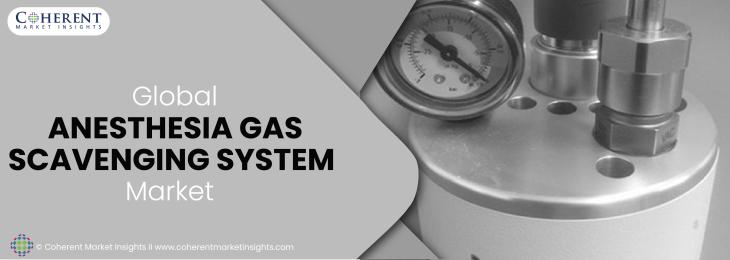  Major Players - Anesthesia Gas Scavenging System Industry