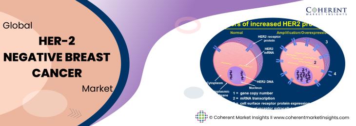 Major Players - HER-2 Negative Breast Cancer Industry