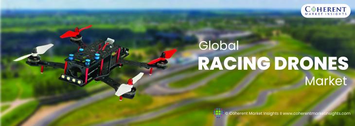 Leading Companies - Racing Drones Industry