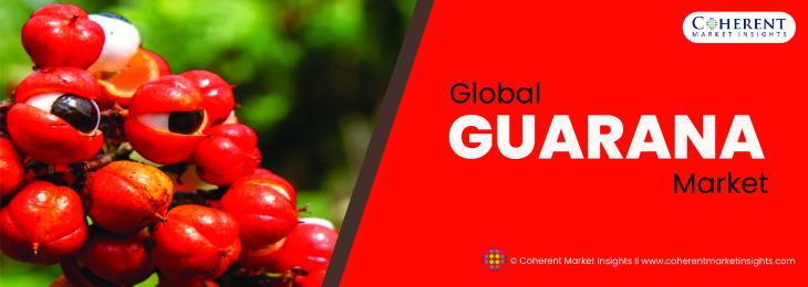 Major Players - Guarana Industry