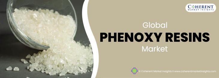 Top Companies - Phenoxy Resins Industry