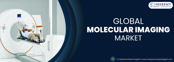 Major Players - Molecular Imaging Industry 