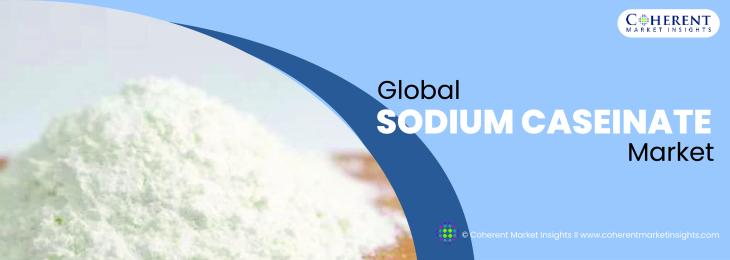 Major Players - Sodium Caseinate Industry