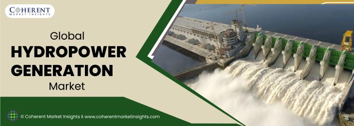 Major Players - Hydropower Generation Industry