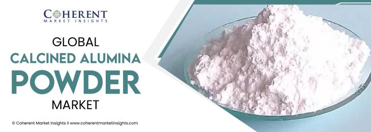 Major Players - Calcined Alumina Powder Industry