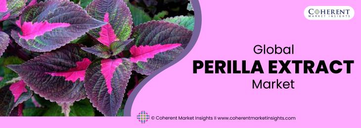 Major Players - Perilla extract Industry