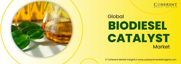 Major Players - Biodiesel Catalyst Industry