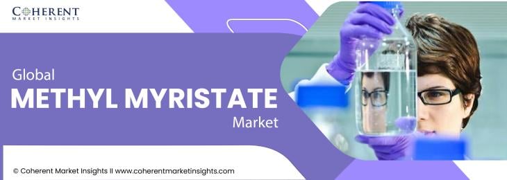 Leading Companies - Methyl Myristate Industry