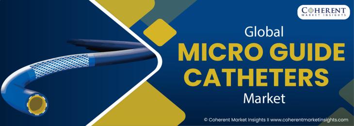 Key Companies - Micro Guide Catheters Industry