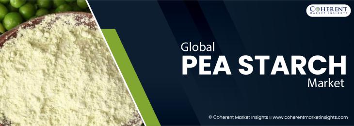 Major Players - Pea Starch Industry