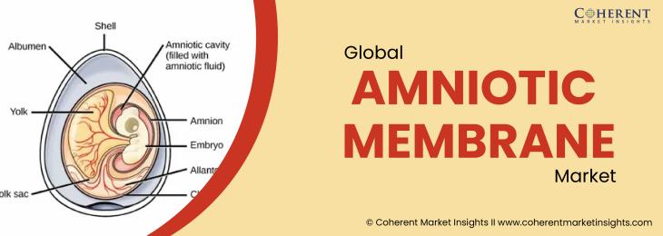 Prominent Players - Amniotic Membrane Industry