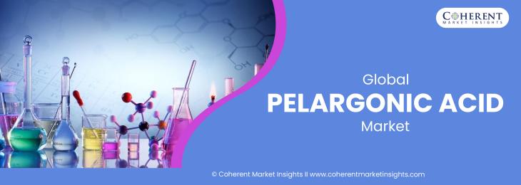 Leading Companies - Pelargonic Acid Industry