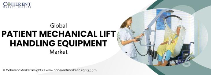 Major Players - Patient Mechanical Lift Handling Equipment Industry	