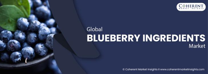 Top Companies - Blueberry Ingredients Industry