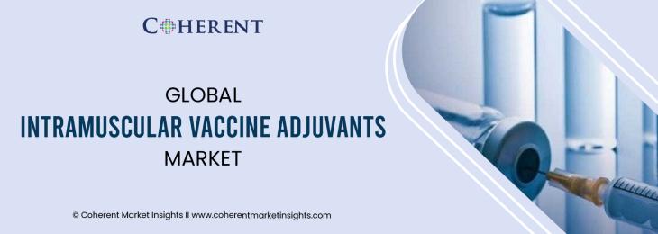 Top Companies - Intramuscular Vaccine Adjuvants Industry