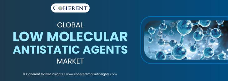 Key Companies - Low Molecular Antistatic Agents Industry