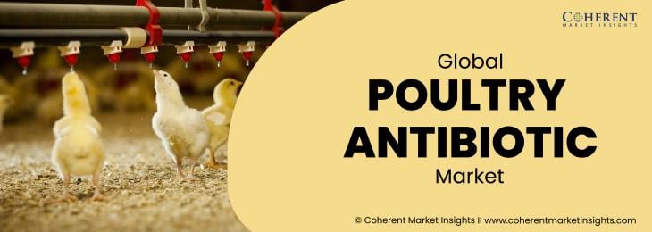 Prominent Players - Poultry Antibiotic Industry