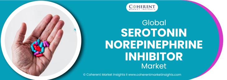 Leading Companies - Serotonin Norepinephrine Inhibitor Industry	