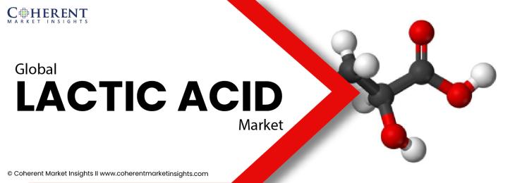 Major Players - Lactic Acid Industry