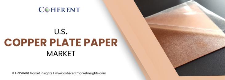 Major Players - Copper Plate Paper Industry