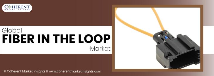 Major Players - Fiber In The Loop Industry