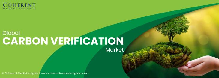 Major Players - Carbon Verification Industry