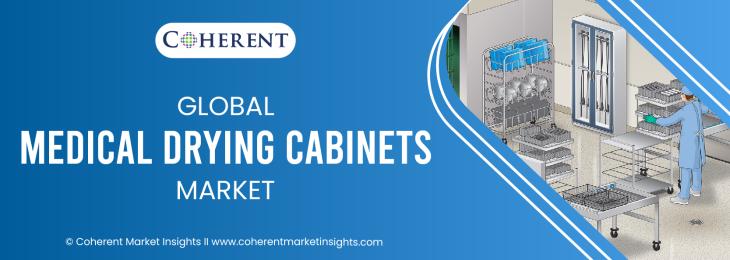 Leading Companies - Medical Drying Cabinets Industry