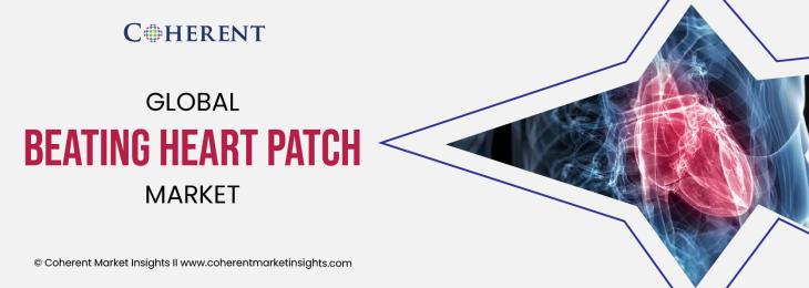 Top Companies - Beating Heart Patch Industry