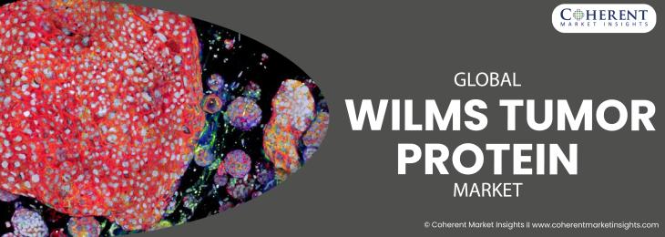 Prominent Companies - Wilms Tumor Protein Industry