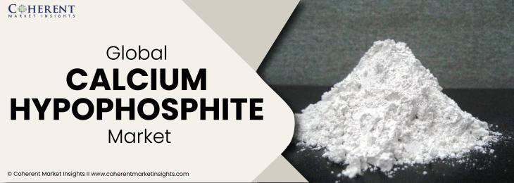 Prominent Companies - Calcium Hypophosphite Industry