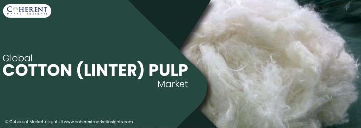 Leading Companies - Cotton (linter) Pulp Industry