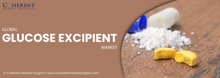 Top Companies - Glucose Excipient Industry