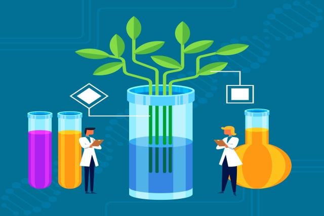 The Role of Amino Acids in Sustainable Agriculture