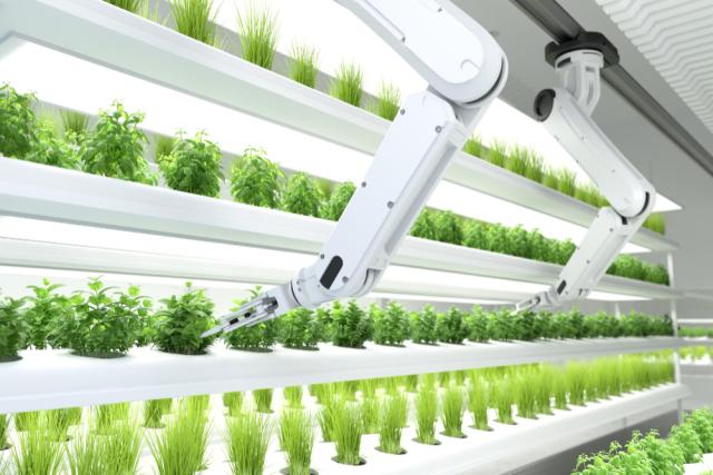 The Environmental Impact of the Vertical Farming Market: Sustainability at Its Core