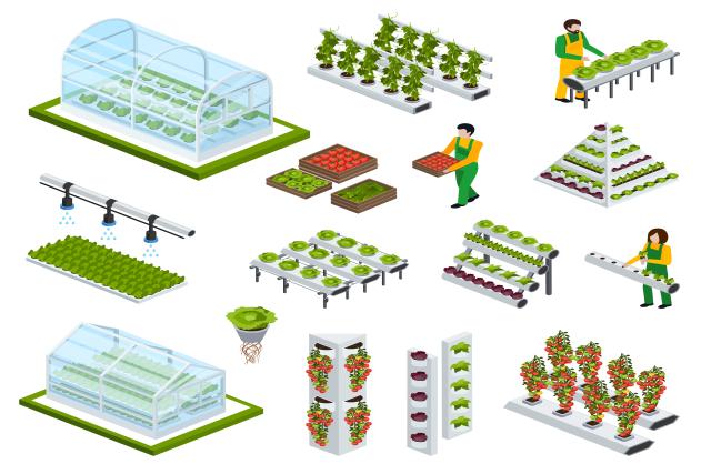 Technologies Driving the Growth of the Vertical Farming Market