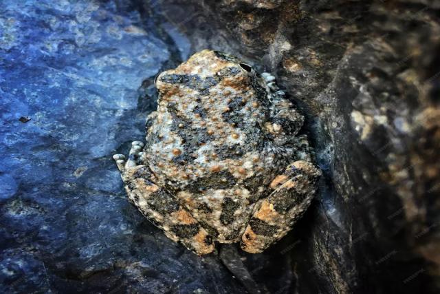 Understanding the Mining and Processing of Ilmenite: Key Techniques and Innovations