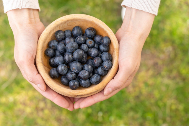 Sustainability and Ethical Sourcing in the Acai Berry Industry