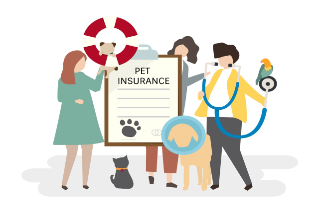 How Pet Insurance Can Save You Money on Unexpected Vet Bills