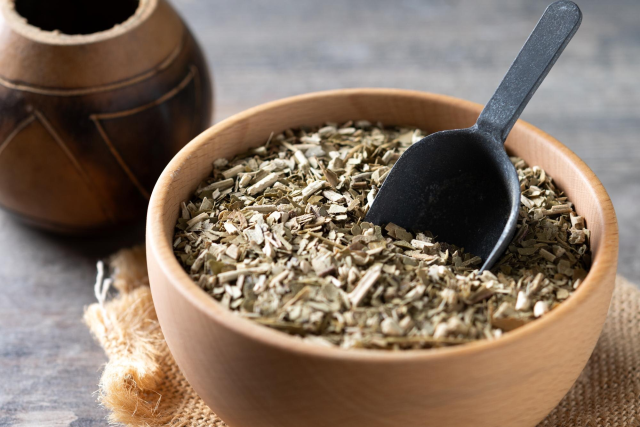 Recent Developments in the Yerba Mate Global Industry