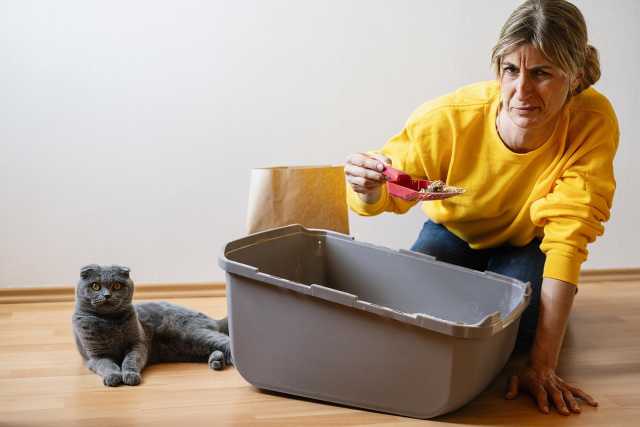 The Pros and Cons of Switching to Natural Cat Litter