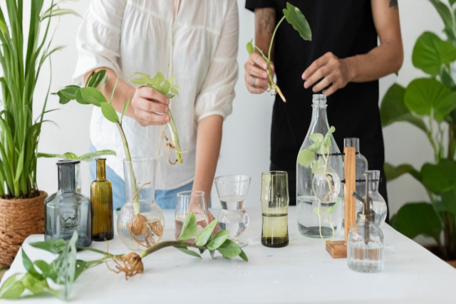 Recent Developments in Aromatherapy Industry