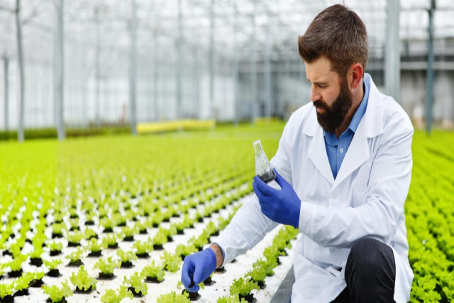 Types of Agrochemicals and Their Role in Modern Farming