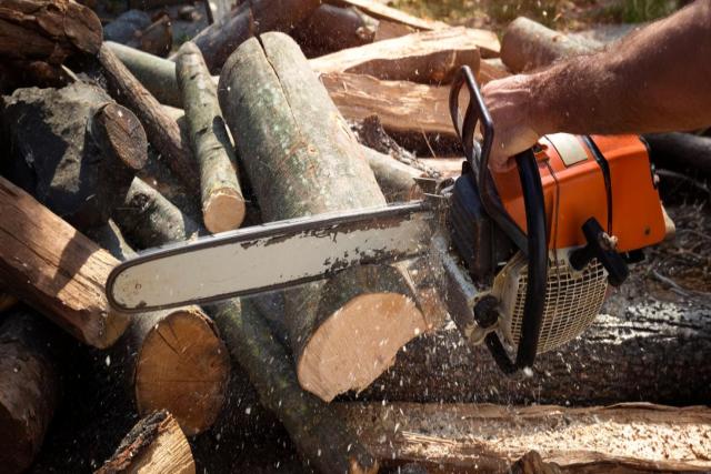 How to Choose the Right Chainsaw for Your Needs