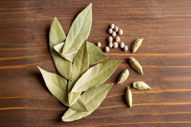 How to Grow and Harvest Bay Leaves: A Complete Guide for Home Gardens